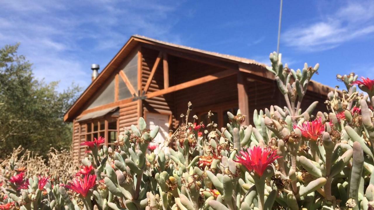 Cabanas Dona Juanita San Pedro de Atacama Bagian luar foto